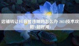 店铺转让抖音号违规吗怎么办 2024技术攻略!(超好用)