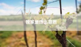 独家是什么意思