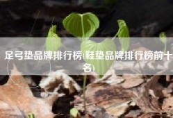 足弓垫品牌排行榜(鞋垫品牌排行榜前十名)
