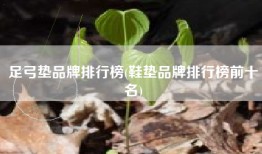 足弓垫品牌排行榜(鞋垫品牌排行榜前十名)