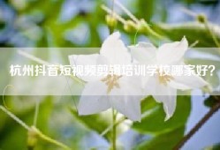 杭州抖音短视频剪辑培训学校哪家好？