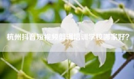杭州抖音短视频剪辑培训学校哪家好？
