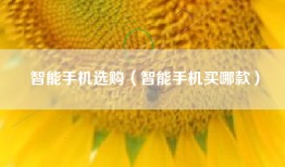 智能手机选购（智能手机买哪款）