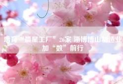 培育“晨星工厂”26家 淄博博山制造业加“数”前行