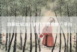 目前比较流行的几个竞价推广平台