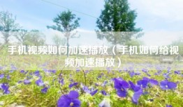 手机视频如何加速播放（手机如何给视频加速播放）