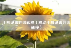 手机设置呼叫转移（移动手机设置呼叫转移）
