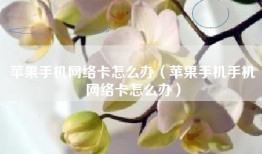 苹果手机网络卡怎么办（苹果手机手机网络卡怎么办）