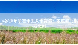 16岁少年杀害亲生父亲背后：家庭暴力引发悲剧