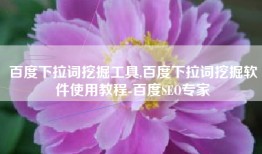 百度下拉词挖掘工具,百度下拉词挖掘软件使用教程-百度SEO专家