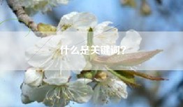 什么是关键词？