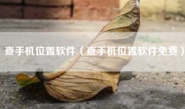 查手机位置软件（查手机位置软件免费）