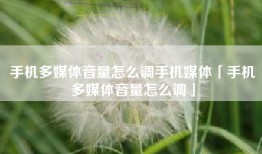 手机多媒体音量怎么调手机媒体「手机多媒体音量怎么调」