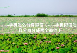 oppo手机怎么分身微信（oppo手机微信怎样分身分成两个微信）