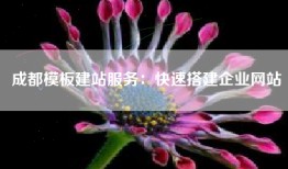 成都模板建站服务：快速搭建企业网站