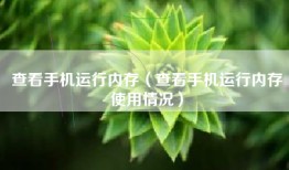 查看手机运行内存（查看手机运行内存使用情况）