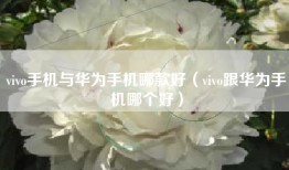 vivo手机与华为手机哪款好（vivo跟华为手机哪个好）