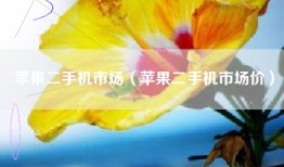 苹果二手机市场（苹果二手机市场价）