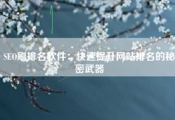 SEO刷排名软件：快速提升网站排名的秘密武器