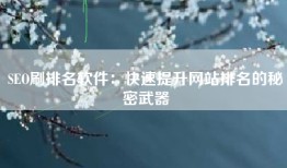 SEO刷排名软件：快速提升网站排名的秘密武器