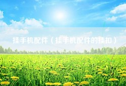 挂手机配件（挂手机配件的挂扣）