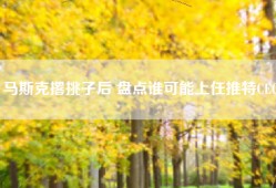 马斯克撂挑子后 盘点谁可能上任推特CEO
