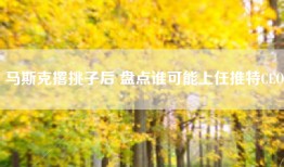 马斯克撂挑子后 盘点谁可能上任推特CEO