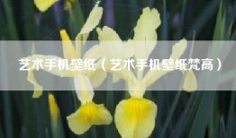 艺术手机壁纸（艺术手机壁纸梵高）