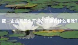 蓝ｖ企业号怎么开通？开通有什么用处？