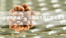谷歌国外推广，谷歌海外推广要用英文吗
