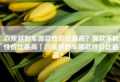六座越野车哪款性价比最高？哪款手机性价比最高「六座越野车哪款性价比最高？」