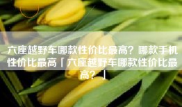 六座越野车哪款性价比最高？哪款手机性价比最高「六座越野车哪款性价比最高？」