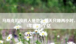 马斯克的接班人是他？每天只睡两小时，8年赚了4个亿