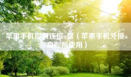 苹果手机如何连接u盘（苹果手机外接u盘如何使用）