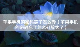苹果手机的密码忘了怎么办（苹果手机的密码忘了怎么办放大了）