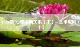 11-20题 心理咨询关系（下）+基本原则（上）
