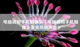 电脑调用手机摄像头（电脑调用手机摄像头麦克风扬声器）