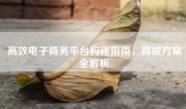 高效电子商务平台构建指南，商城方案全解析