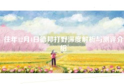 往年12月4日德邦打野深度解析与测评介绍