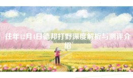 往年12月4日德邦打野深度解析与测评介绍