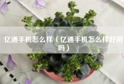 亿通手机怎么样（亿通手机怎么样好用吗）