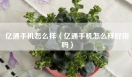 亿通手机怎么样（亿通手机怎么样好用吗）