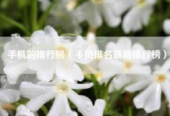 手机的排行榜（手机排名最新排行榜）