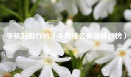 手机的排行榜（手机排名最新排行榜）