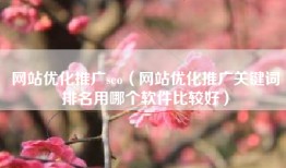 网站优化推广seo（网站优化推广关键词排名用哪个软件比较好）