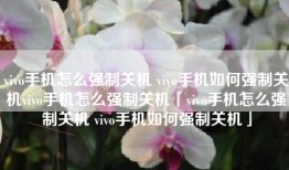 vivo手机怎么强制关机 vivo手机如何强制关机vivo手机怎么强制关机「vivo手机怎么强制关机 vivo手机如何强制关机」