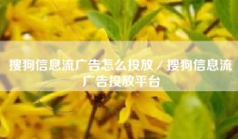 搜狗信息流广告怎么投放／搜狗信息流广告投放平台