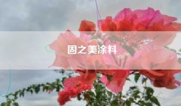 固之美涂料