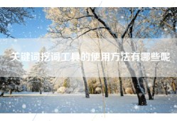 关键词挖词工具的使用方法有哪些呢