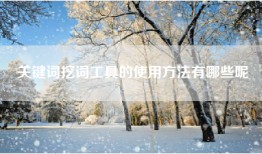 关键词挖词工具的使用方法有哪些呢